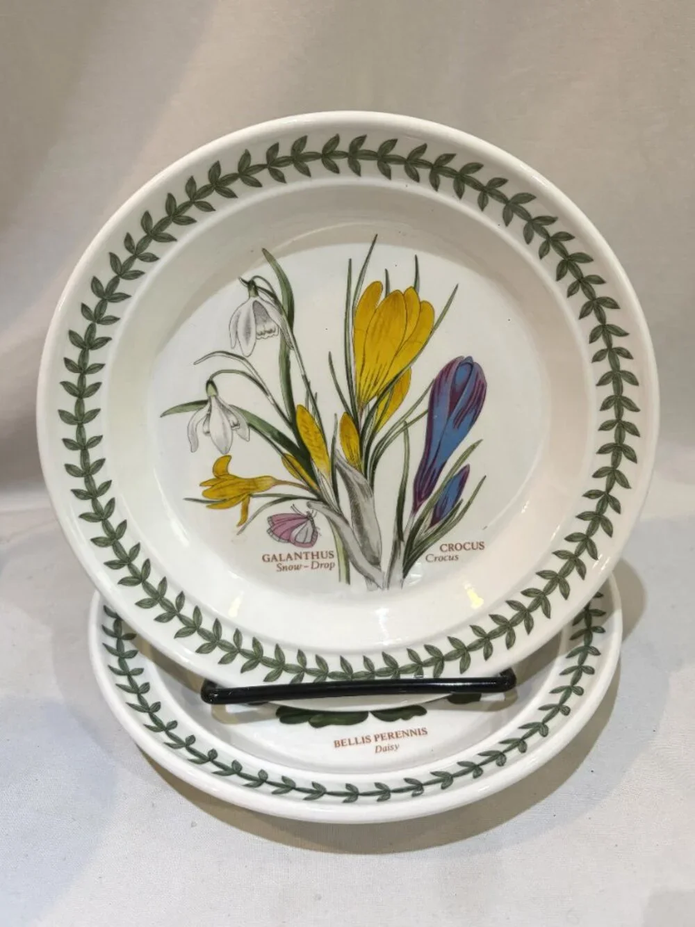 Set of 2 Portmeirion Botanic Garden 7.25